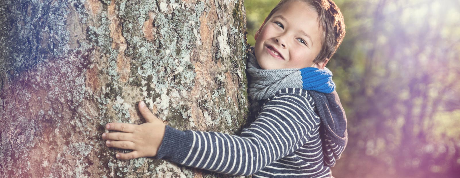 Heizungsmodernisierung