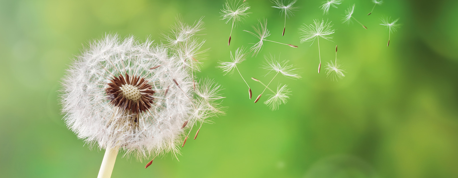 Zentrale Wohnraumlüftung